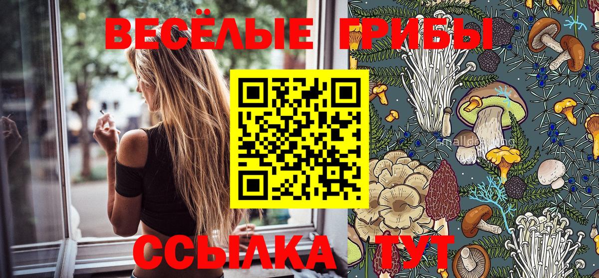 Екатеринбург  купить наркоту  Вход с VPN  Псилоцибиновые грибы ЛСД 