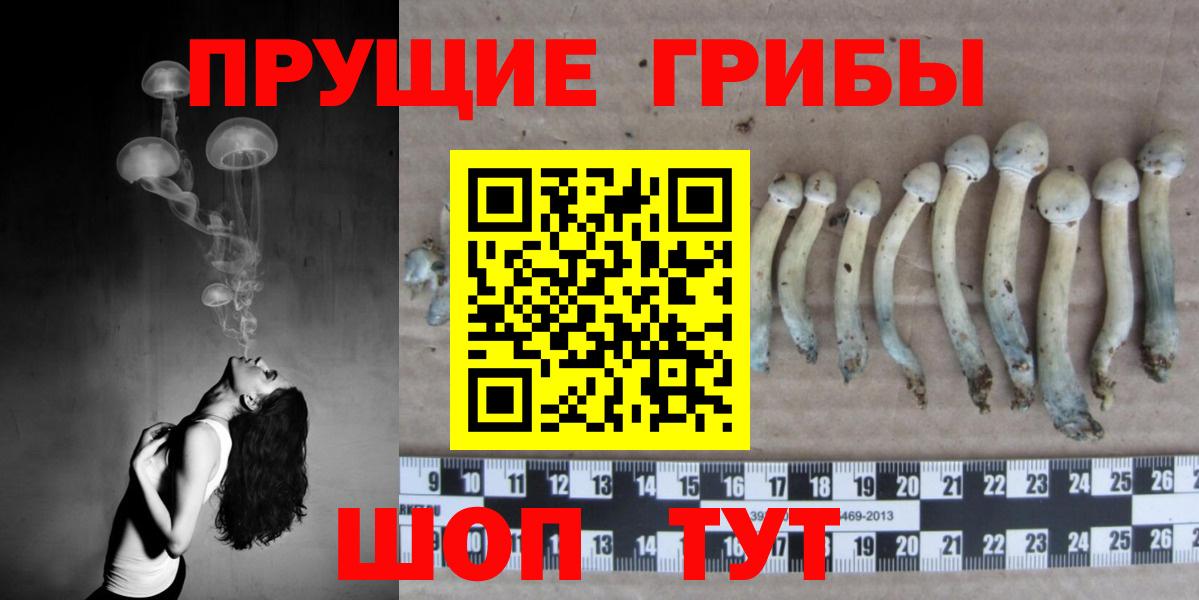 Псилоцибиновые грибы GOLDEN TEACHER Екатеринбург